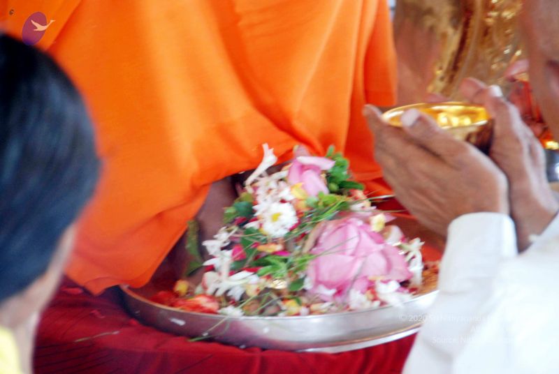 File:20091120DSC 9311 CMP WM001.jpg