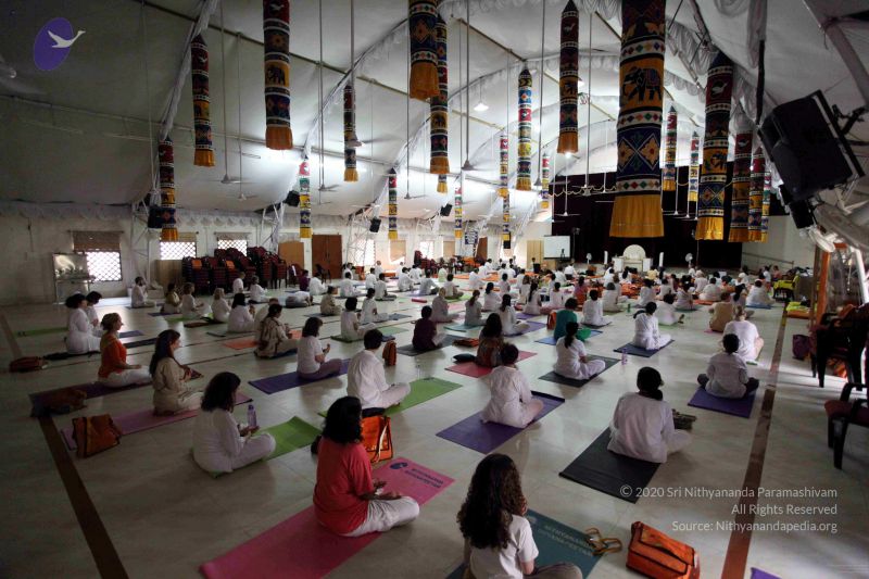 File:20091120IMG 6991 CMP WM001.jpg