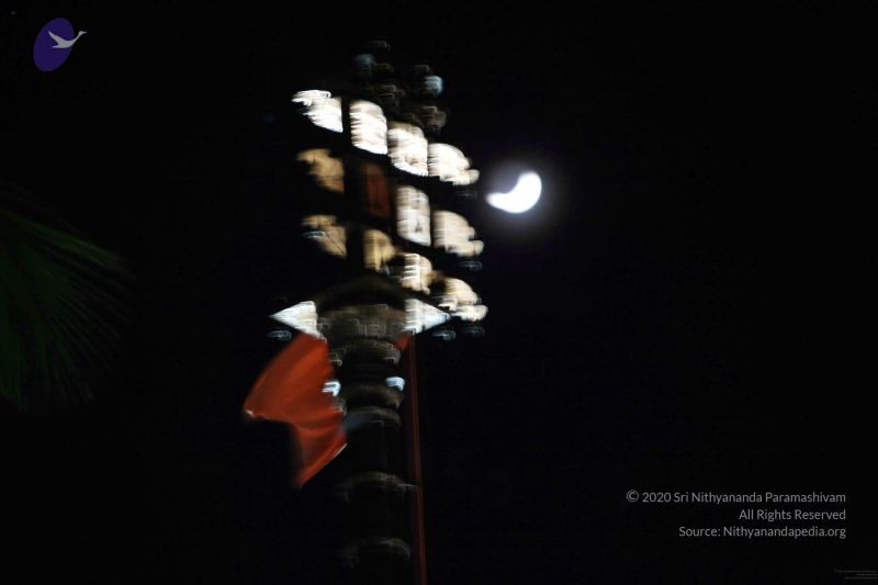 File:20091120IMG 7021 CMP WM001.jpg