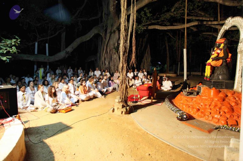 File:20091120IMG 7034 CMP WM001.jpg