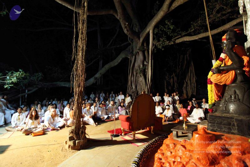 File:20091120IMG 7035 CMP WM001.jpg