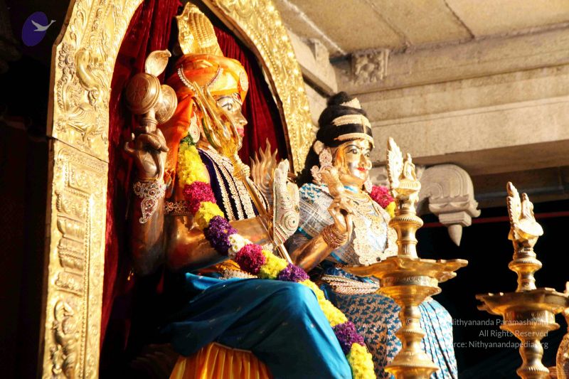 File:20091120IMG 7036 CMP WM001.jpg