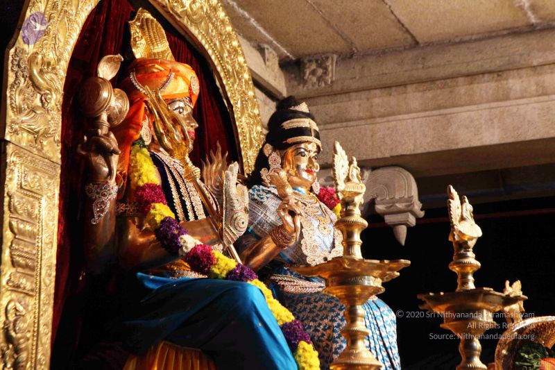 File:20091120IMG 7037 CMP WM001.jpg