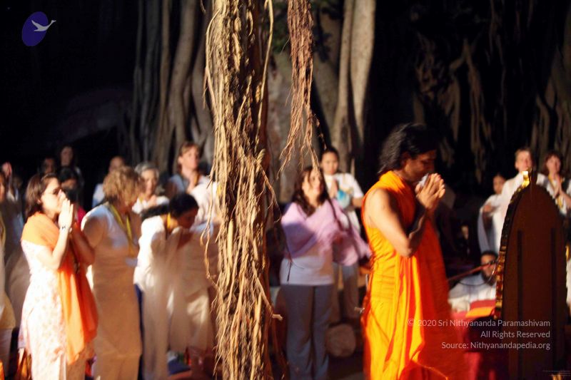 File:20091120IMG 7062 CMP WM001.jpg