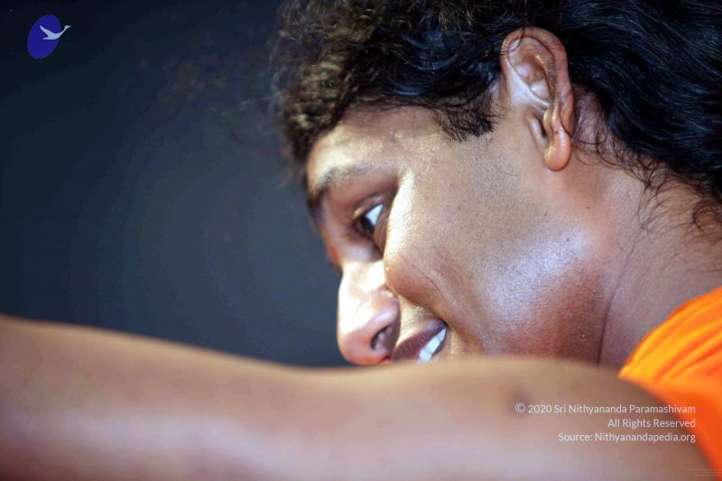 File:20091120IMG 7190 CMP WM001.jpg