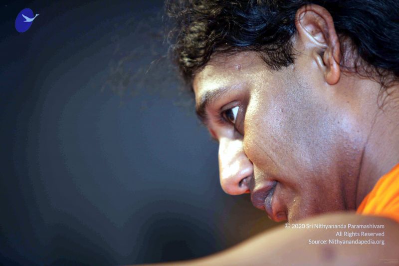 File:20091120IMG 7191 CMP WM001.jpg