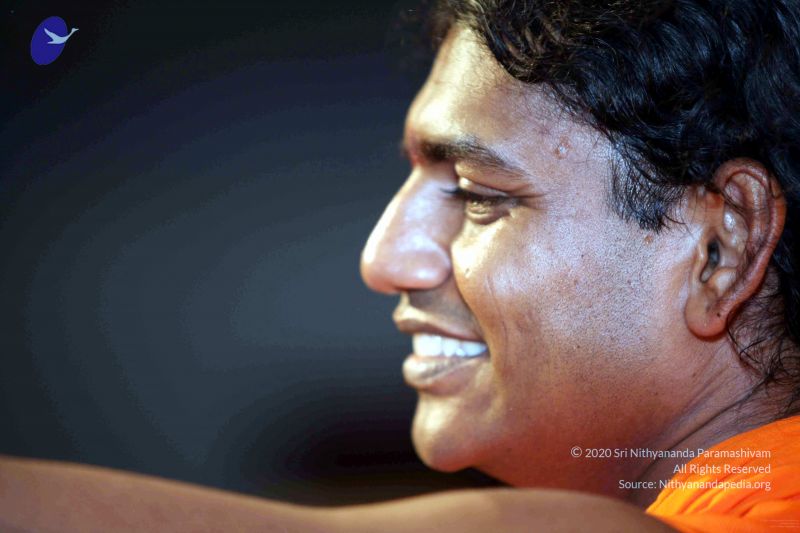 File:20091120IMG 7192 CMP WM001.jpg