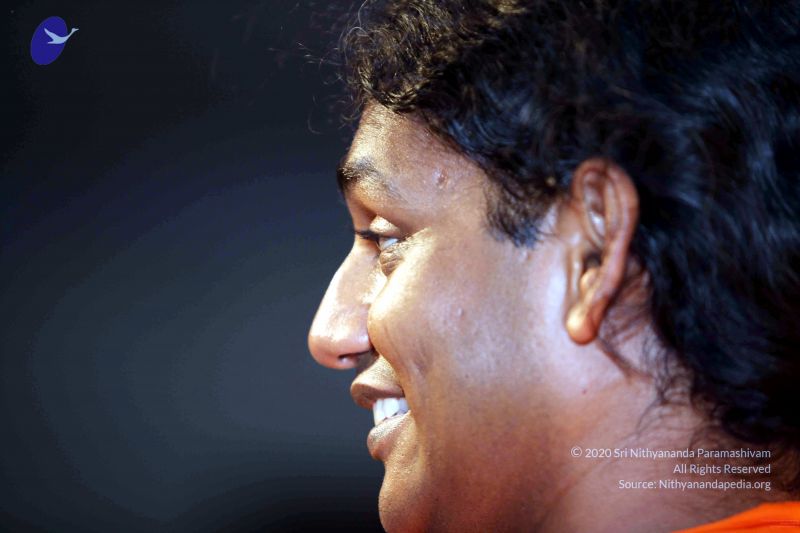 File:20091120IMG 7197 CMP WM001.jpg