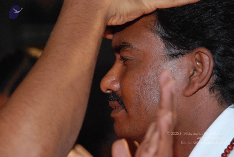 File:20091122 DSC 9679 CMP WM 00010.jpg