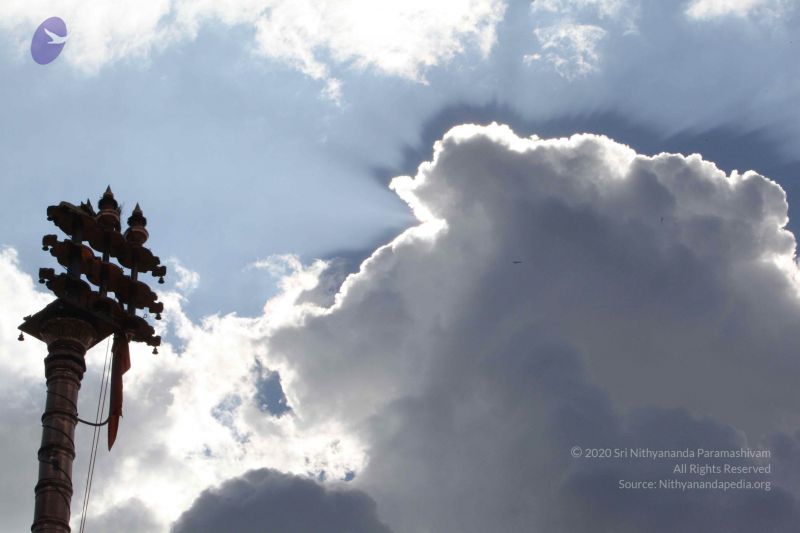 File:20091122 IMG 7612 CMP WM 001.jpg