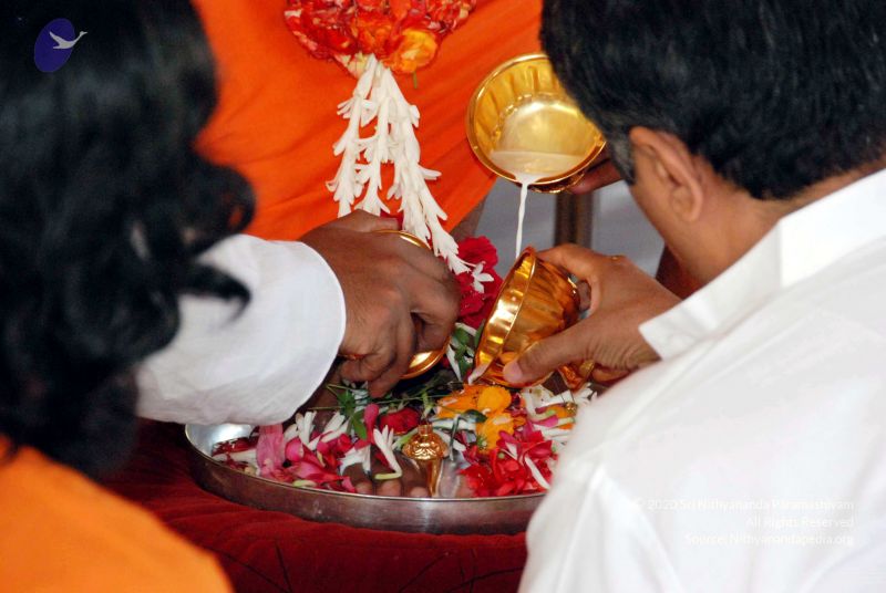 File:20091123DSC 9806 CMP WM001.jpg