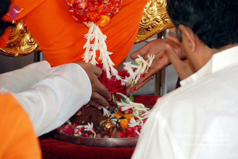 File:20091123DSC 9810 CMP WM001.jpg