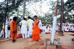 20091123DSC 9966 CMP WM001.jpg