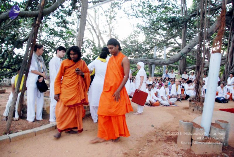 File:20091123DSC 9967 CMP WM001.jpg