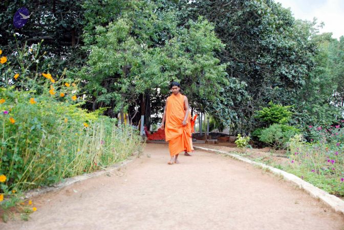 20091123DSC 9969 CMP WM001.jpg