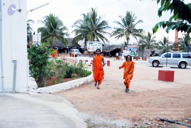 File:20091123DSC 9975 CMP WM001.jpg