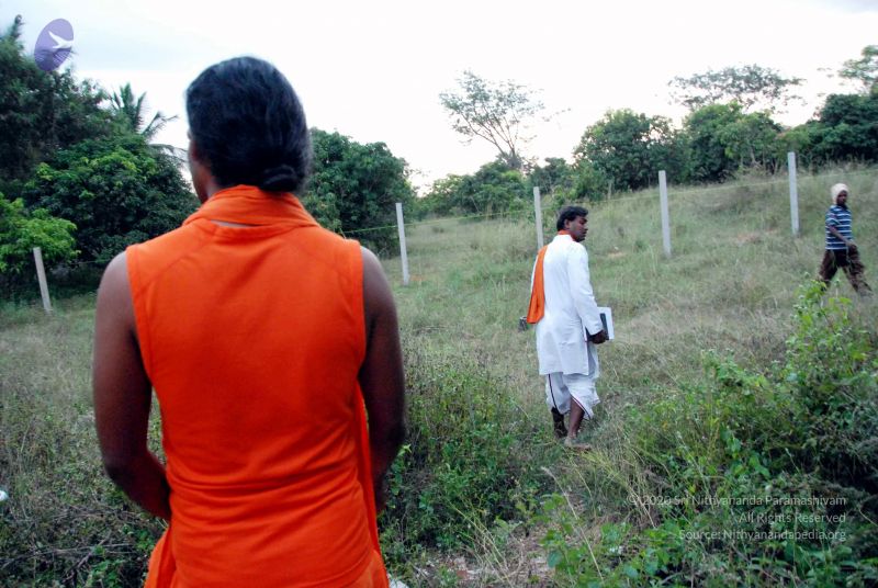 File:20091123DSC 9981 CMP WM001.jpg