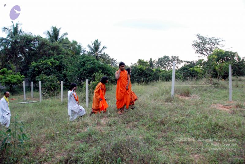 File:20091123DSC 9989 CMP WM001.jpg