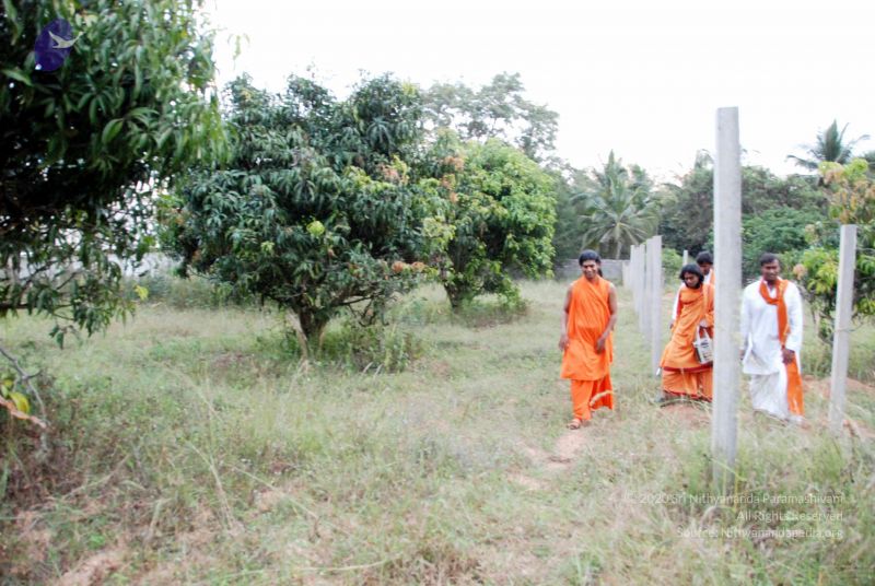 File:20091123DSC 9998 CMP WM001.jpg