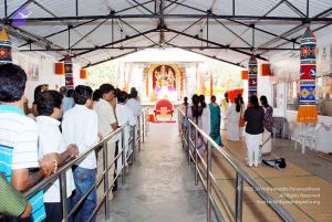 20091125DSC 0670 CMP WM001.jpg