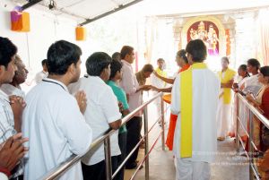 20091125DSC 0680 CMP WM001.jpg