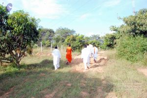 20091125DSC 0723 CMP WM001.jpg