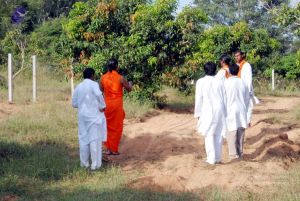 20091125DSC 0724 CMP WM001.jpg