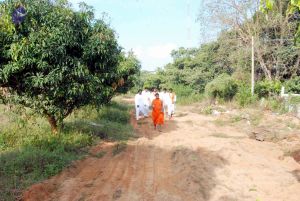 20091125DSC 0730 CMP WM001.jpg