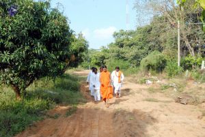 20091125DSC 0732 CMP WM001.jpg