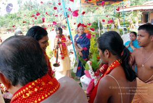 20091125DSC 0847 CMP WM001.jpg