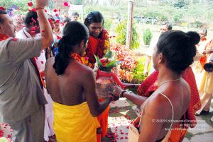 20091125DSC 0850 CMP WM001.jpg