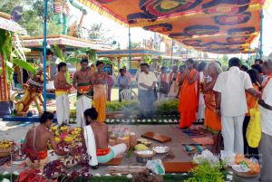 20091125DSC 0872 CMP WM001.jpg