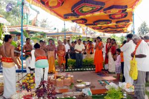 20091125DSC 0883 CMP WM001.jpg