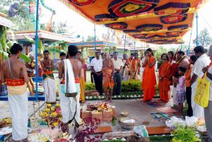 20091125DSC 0890 CMP WM001.jpg