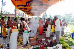 20091125DSC 0894 CMP WM001.jpg