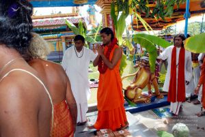 20091125DSC 0895 CMP WM001.jpg