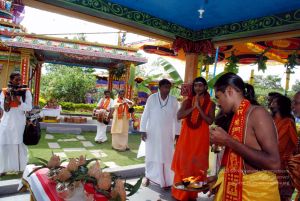 20091125DSC 0913 CMP WM001.jpg