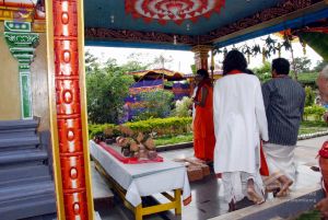 20091125DSC 0915 CMP WM001.jpg