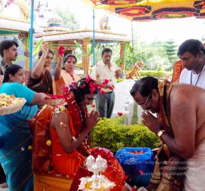 20091125DSC 0932 CMP WM001.jpg