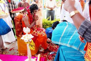 20091125DSC 0935 CMP WM001.jpg