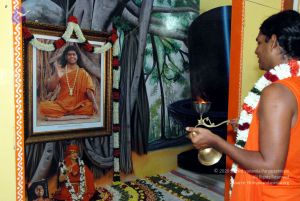 20091125DSC 1017 CMP WM001.jpg