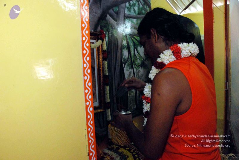 File:20091125DSC 1019 CMP WM001.jpg