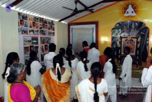 20091125DSC 1026 CMP WM001.jpg