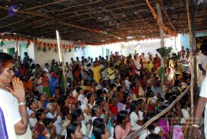 20091125DSC 1035 CMP WM001.jpg