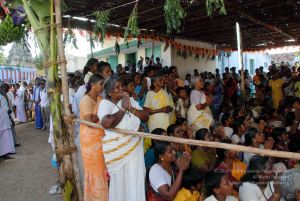 20091125DSC 1036 CMP WM001.jpg