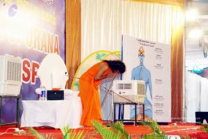 20091126DSC 1272 CMP WM001.jpg