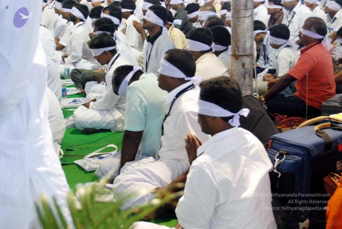 20091126DSC 1384 CMP WM001.jpg