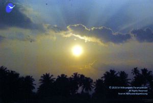 20091126DSC 1423 CMP WM001.jpg