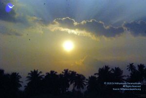 20091126DSC 1424 CMP WM001.jpg