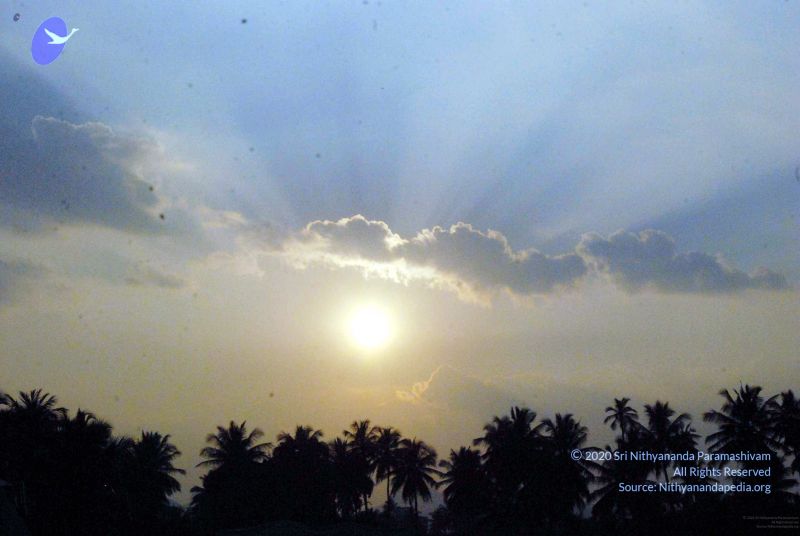 File:20091126DSC 1425 CMP WM001.jpg